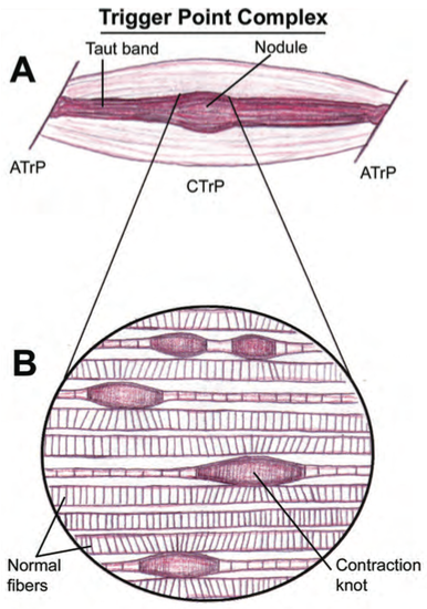 fig01